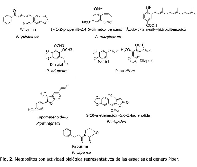 Figura 2